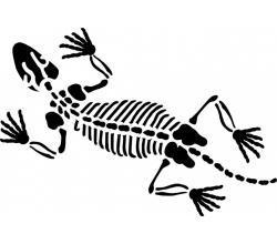 Stencil Schablone Fossil Echse
